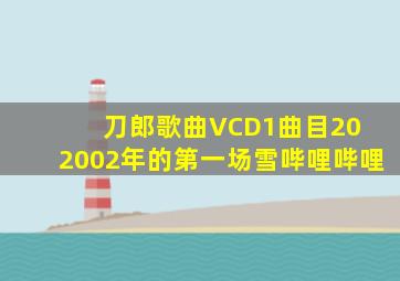 刀郎歌曲VCD1曲目20 2002年的第一场雪哔哩哔哩